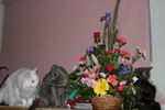 IMG_1823.JPG