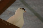 IMG_2686.JPG