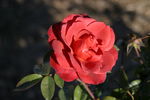 IMG_2707.JPG